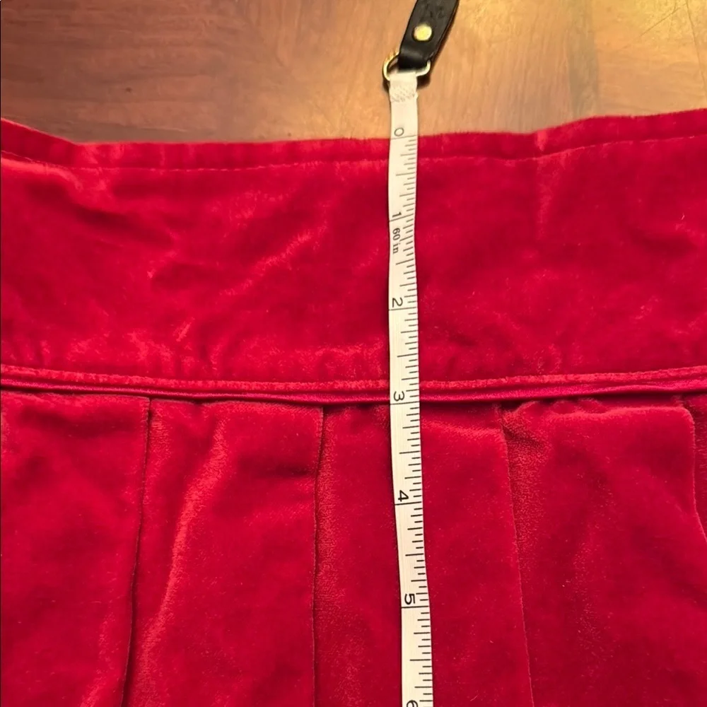 OSHKOSH B’GOSH Pleated Velvet Skirt, size 5 (little girls) - Picture 10 of 10